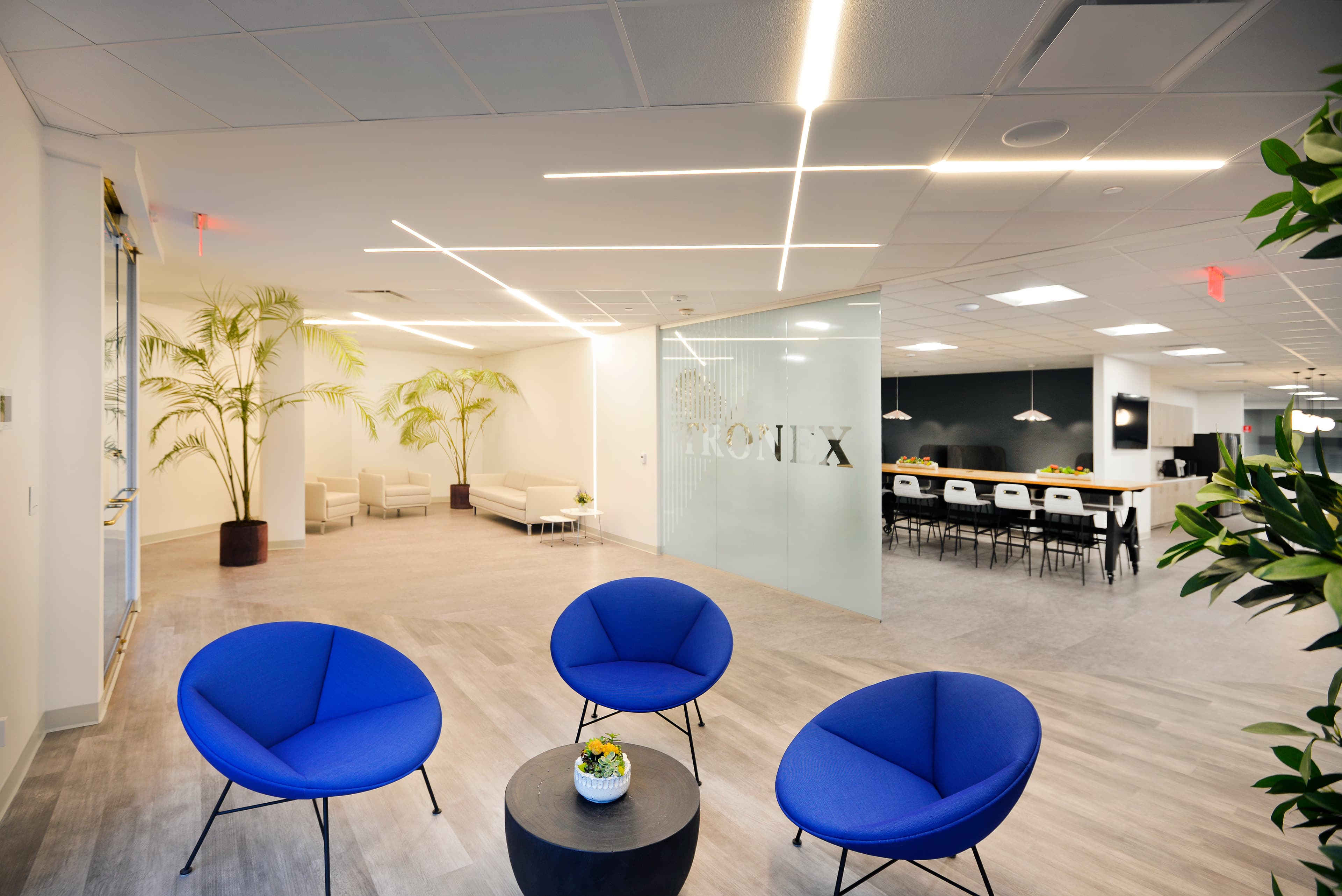 Tronex Corporate Offices | Image 0